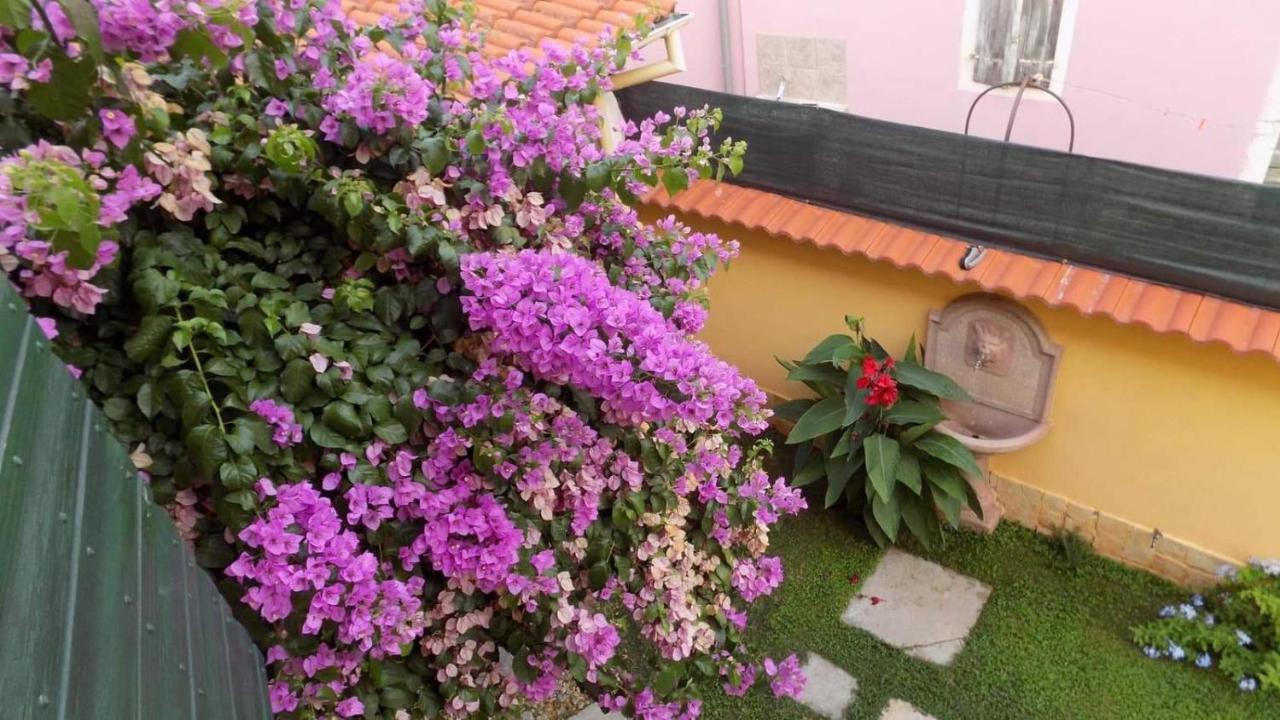 House Justina Villa Zára Kültér fotó